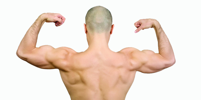 Bald Man muscles